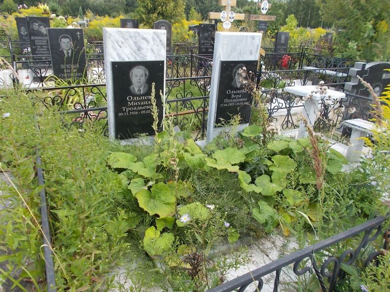Ольнев Михаил Тродьевич