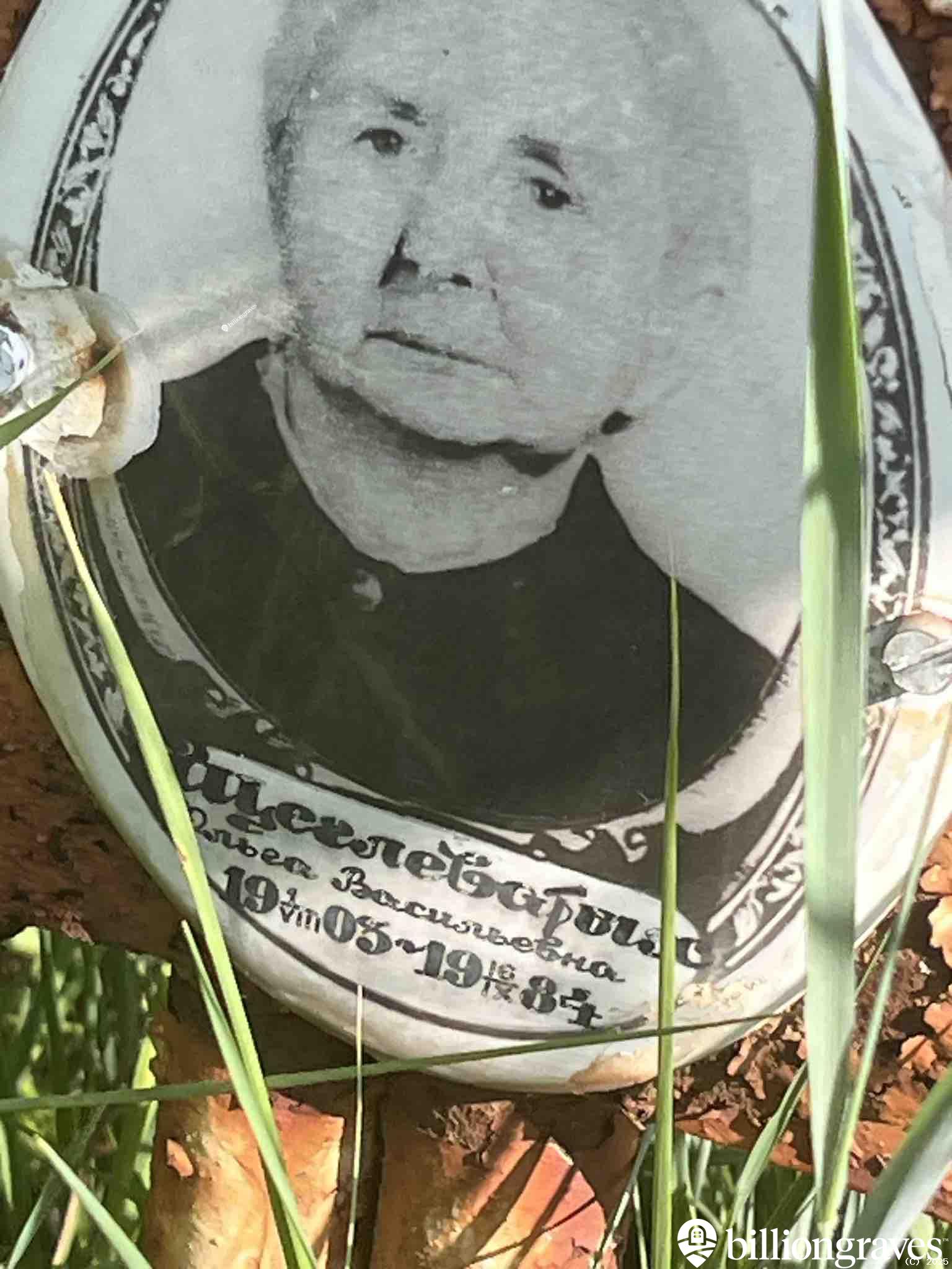 Щеглеватых Ольга Васильевна