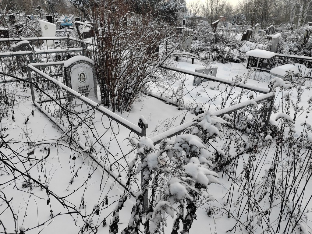 Камнева Надежда Васильевна