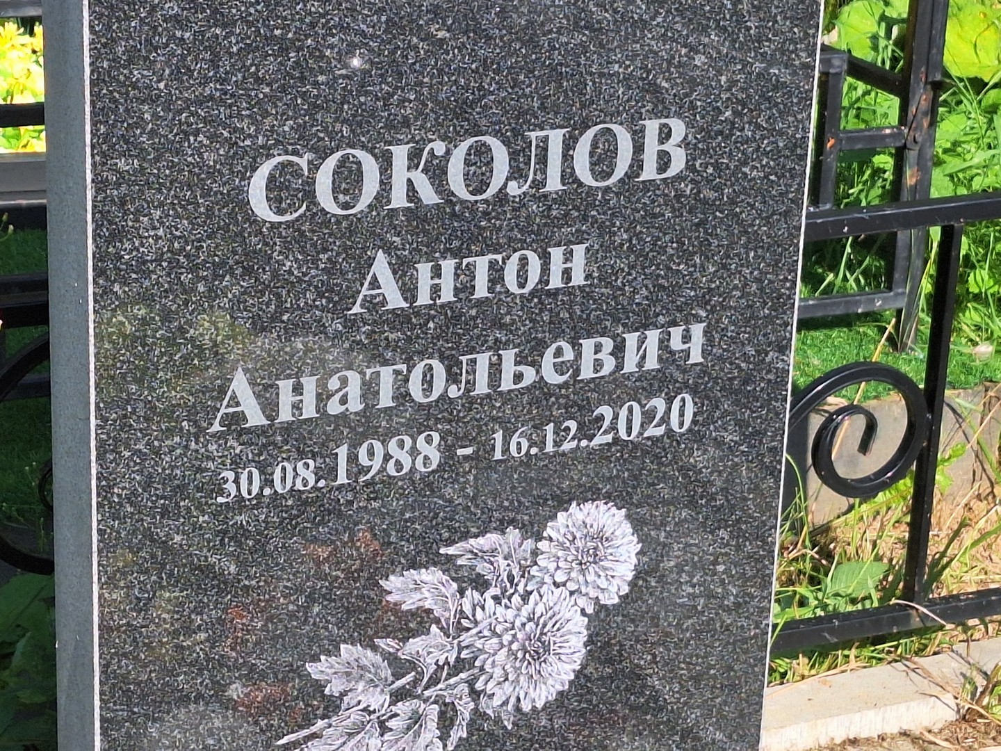 Соколов