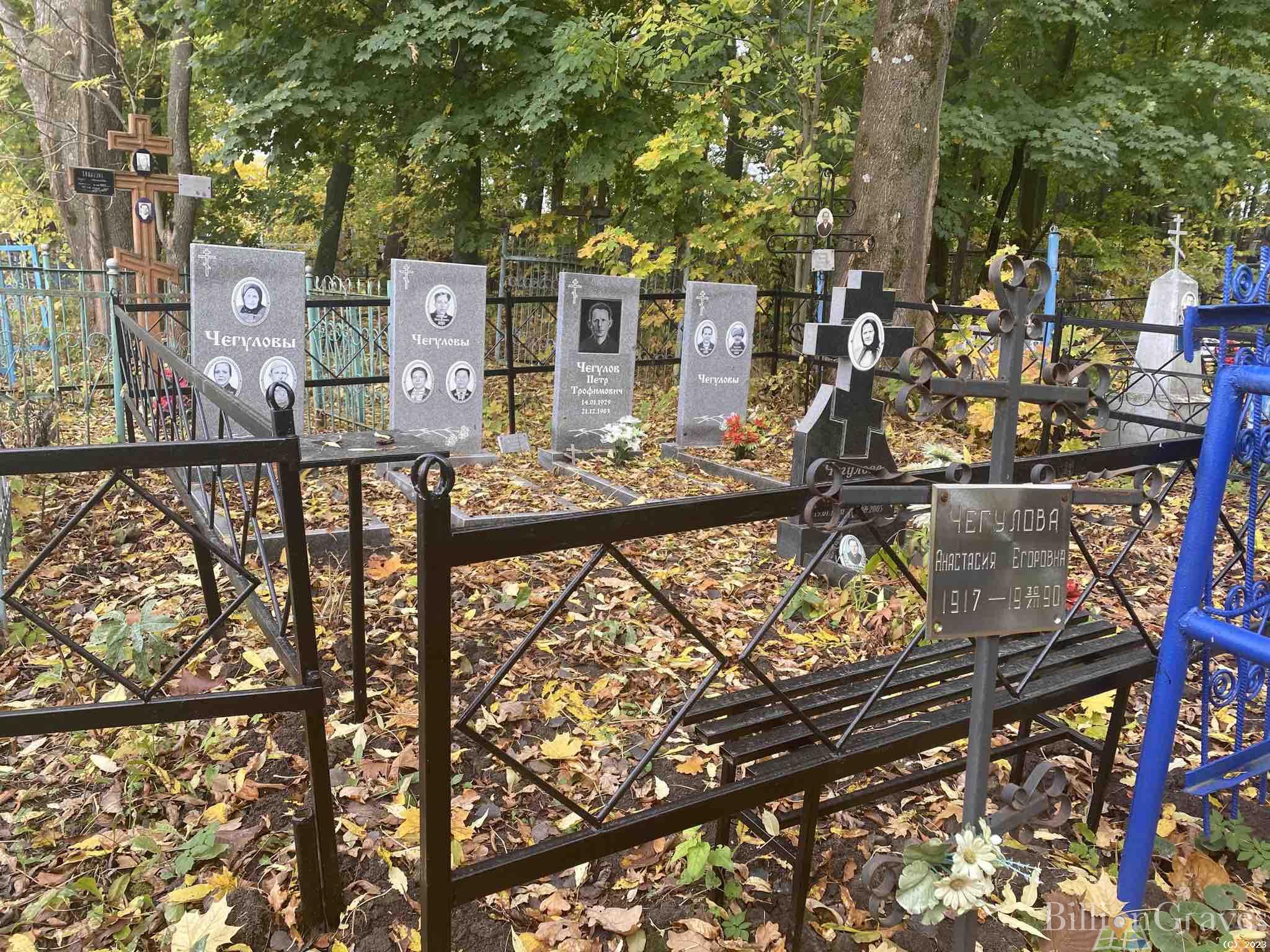 Чегулова Анастасия Егоровна