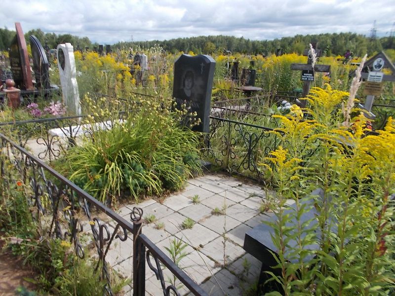 Гриняджук Лариса Николаевна