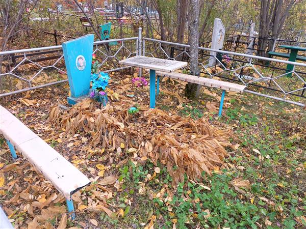 Романов Николай Витальевич