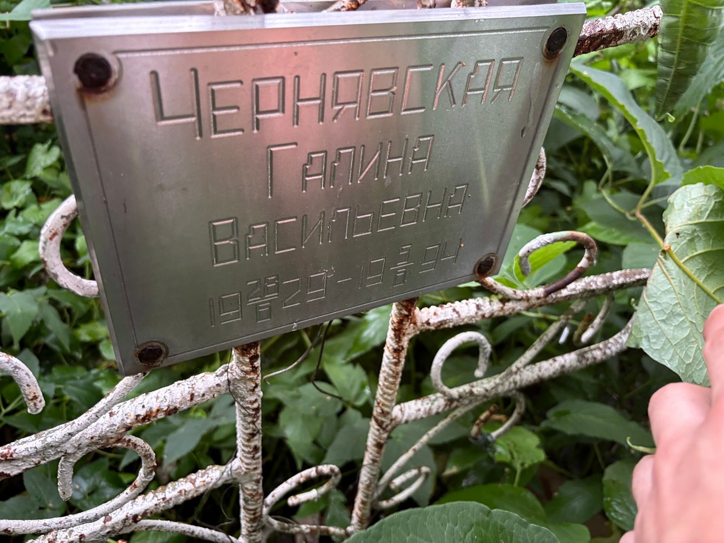 Чернявская