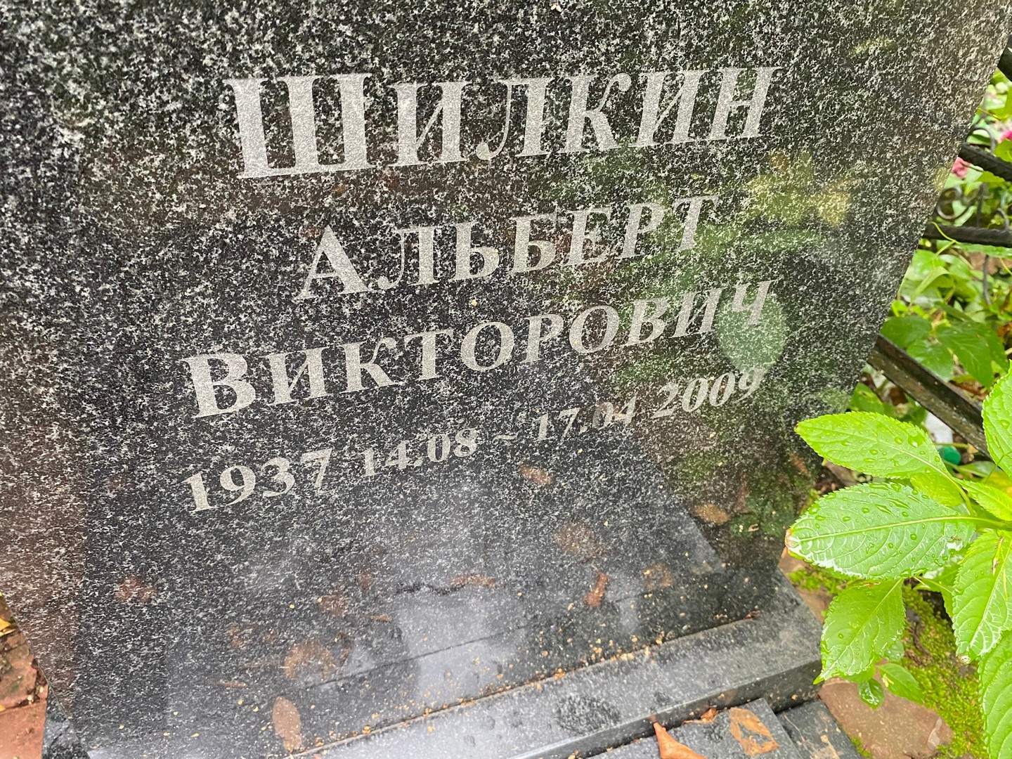Альберт Шилкин Викторович