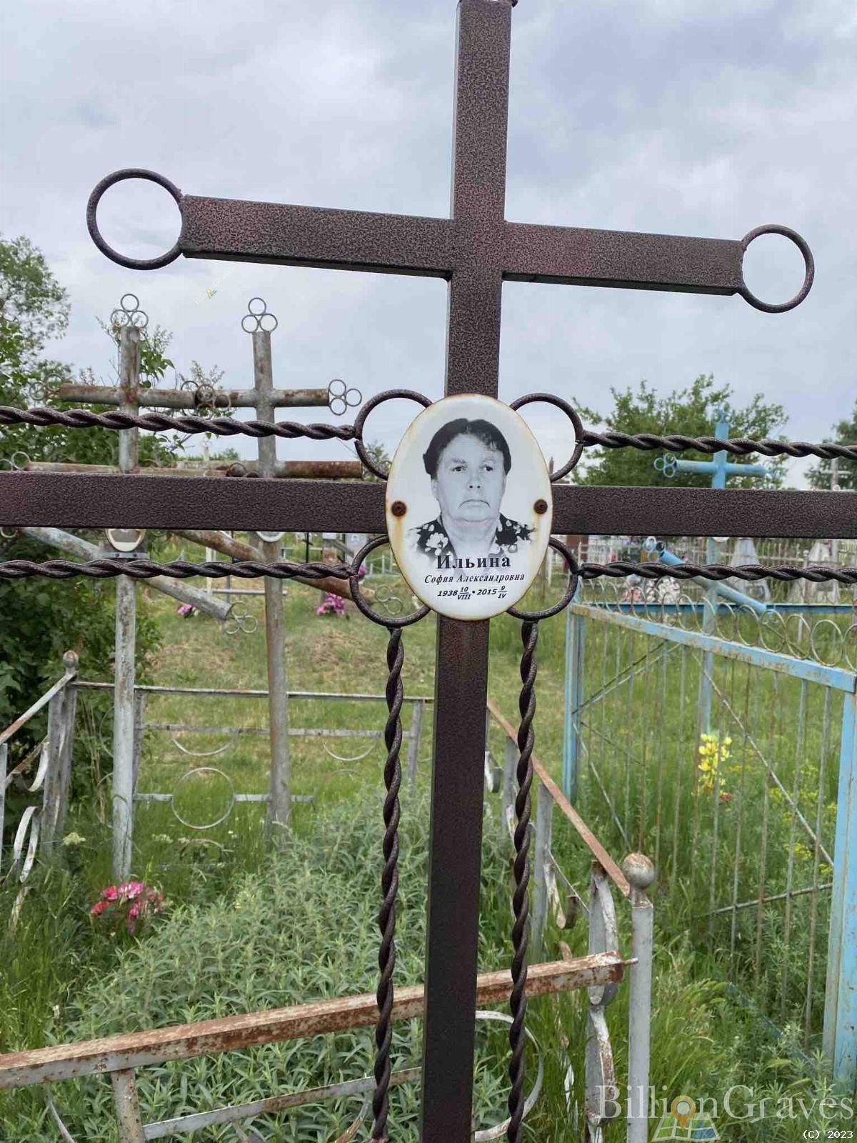 Ильина София Александровна