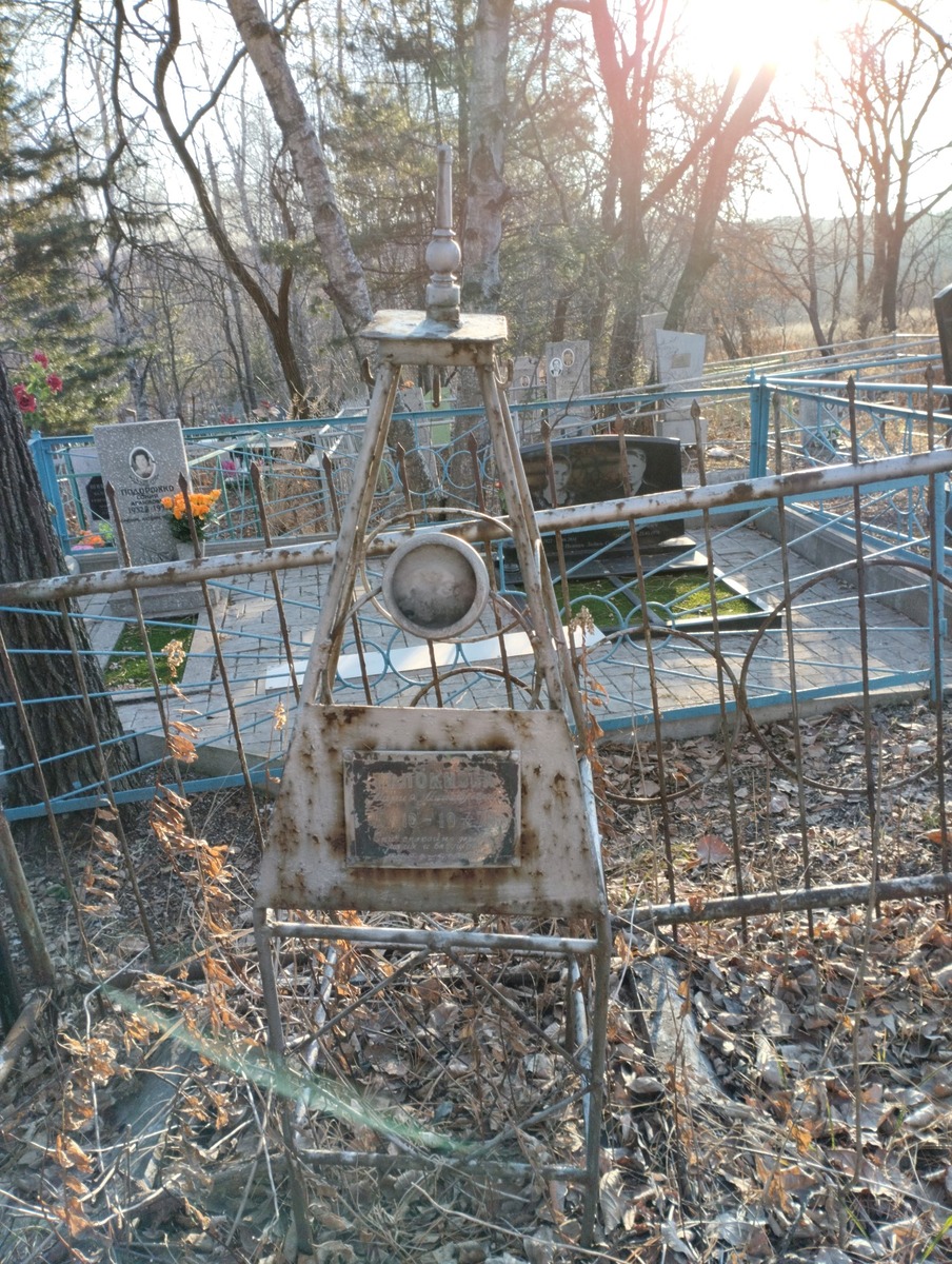 Толокнова Мария Михайловна