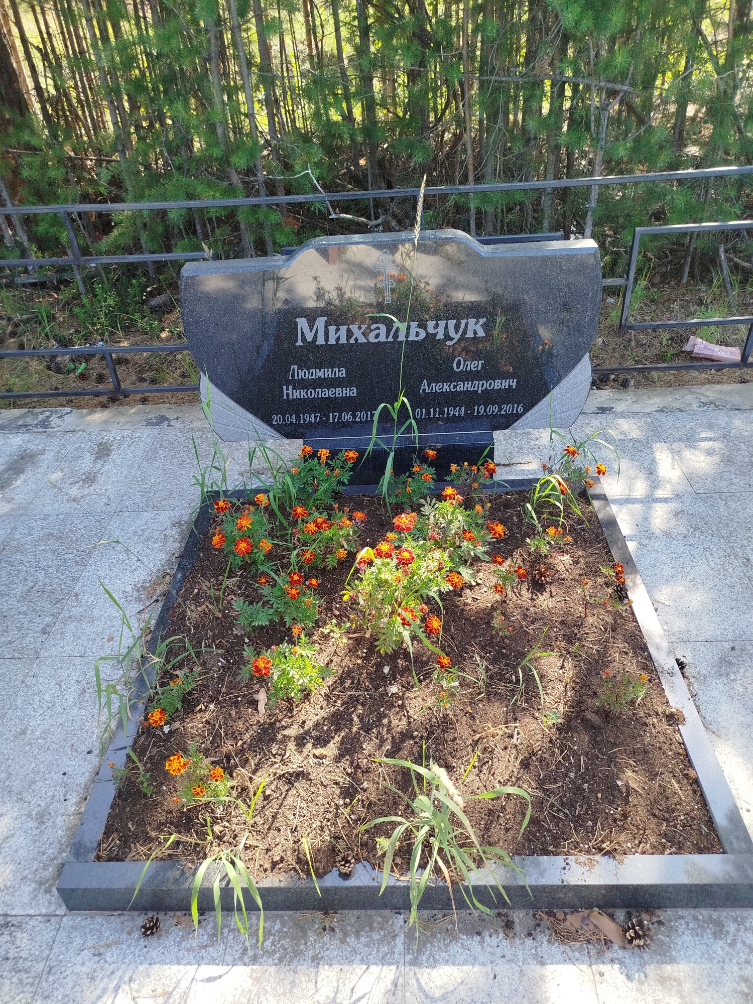 Михальчук Людмила Николаевна