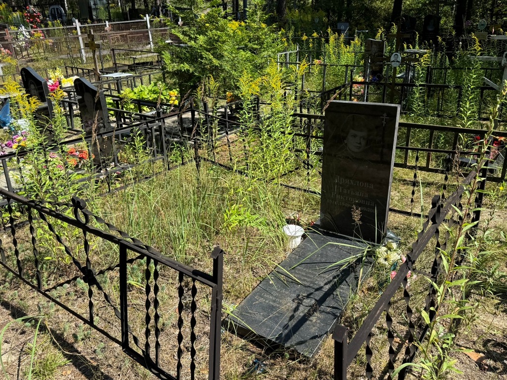 Дряхлова Татьяна Викторовна