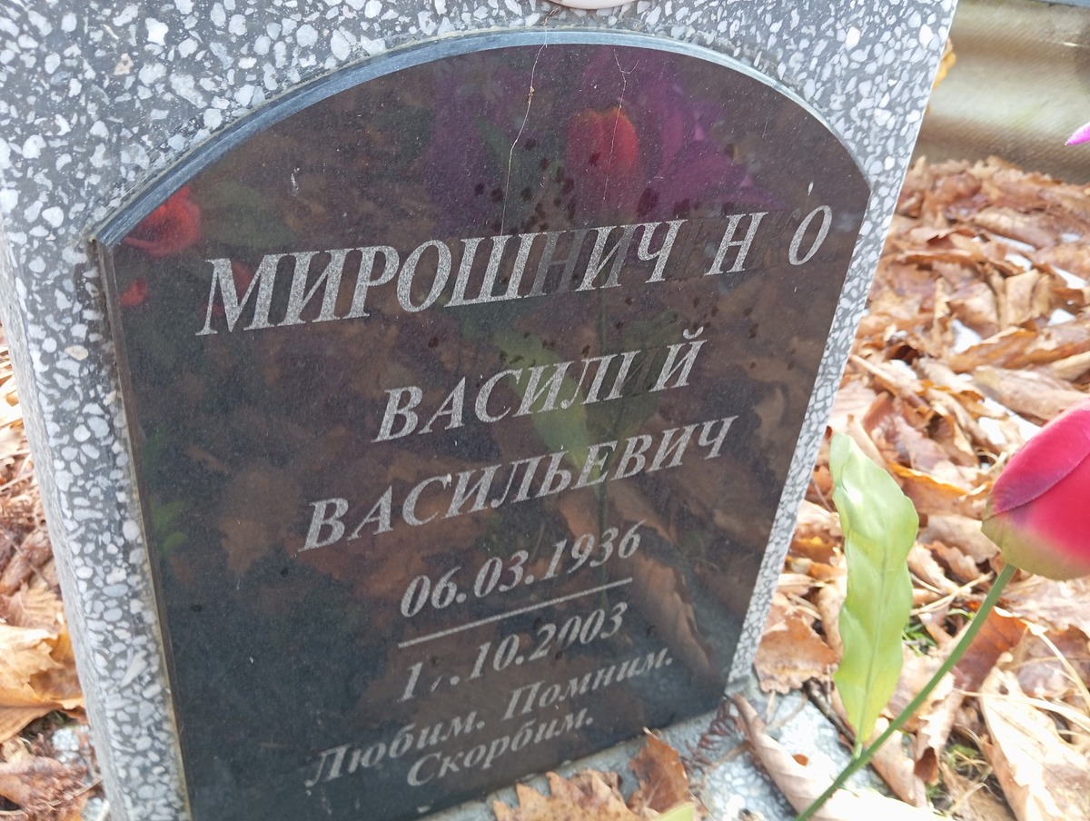 Мирошниченко Василий Васильевич