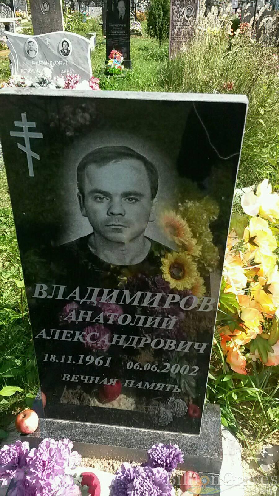 Владимиров Анатолий Александрович