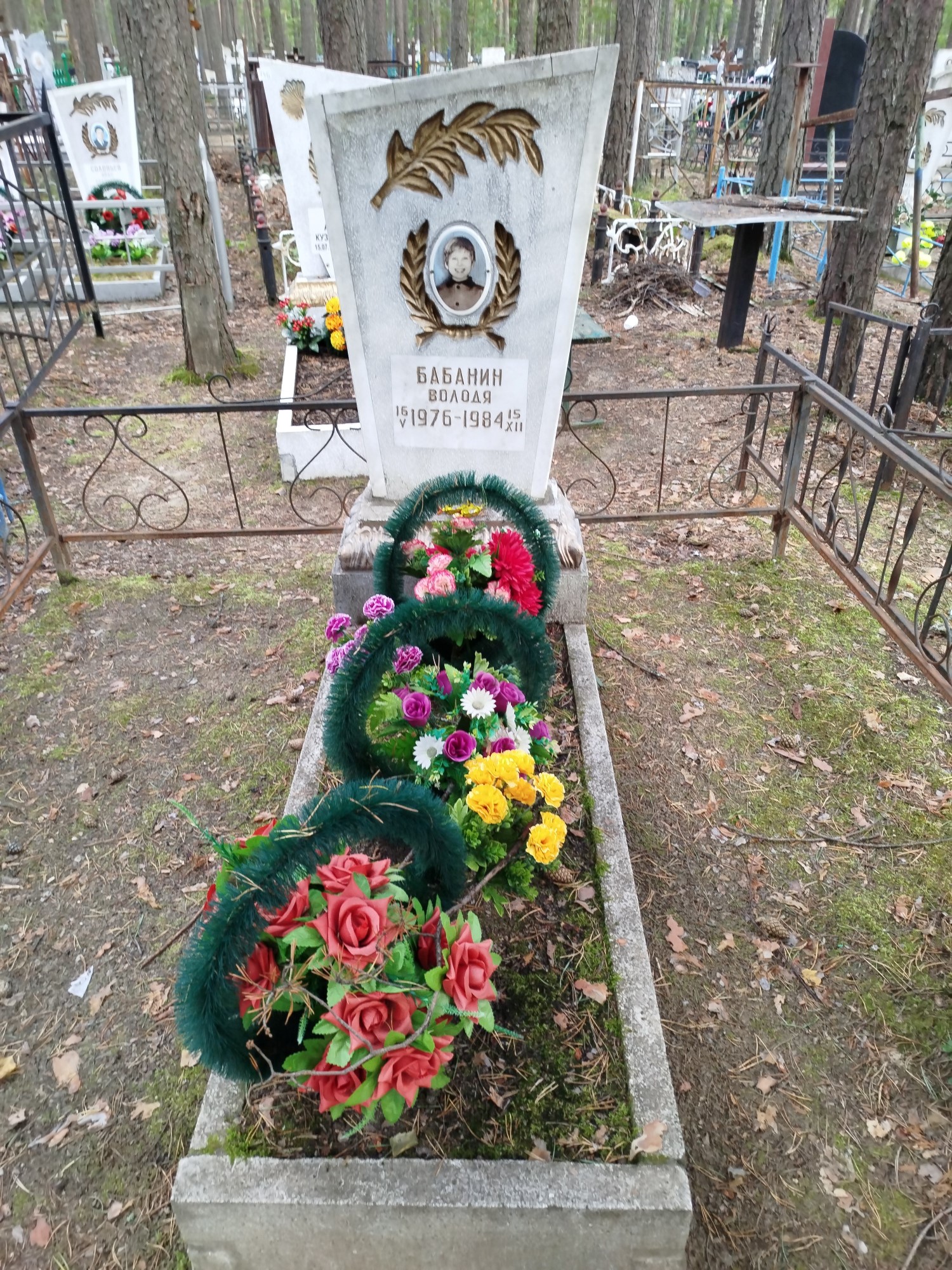 Бабанин Володя