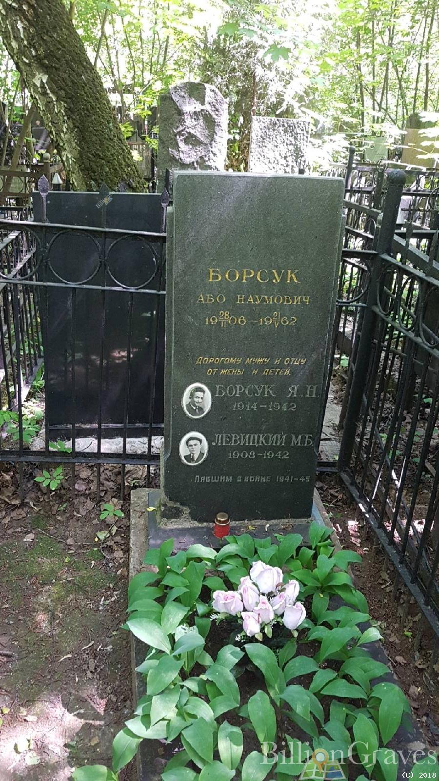 Борсук Або Наумовий
