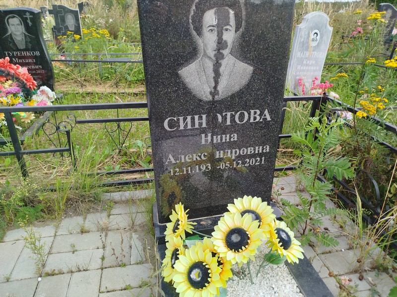 Синотова