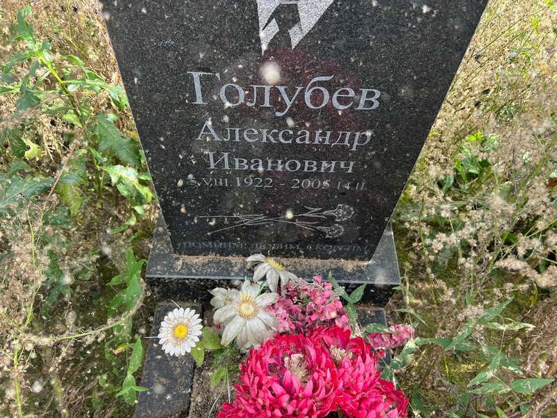 Голубев