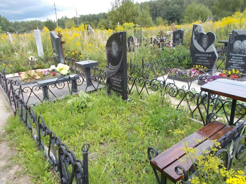 Ефремов Николай Степанович