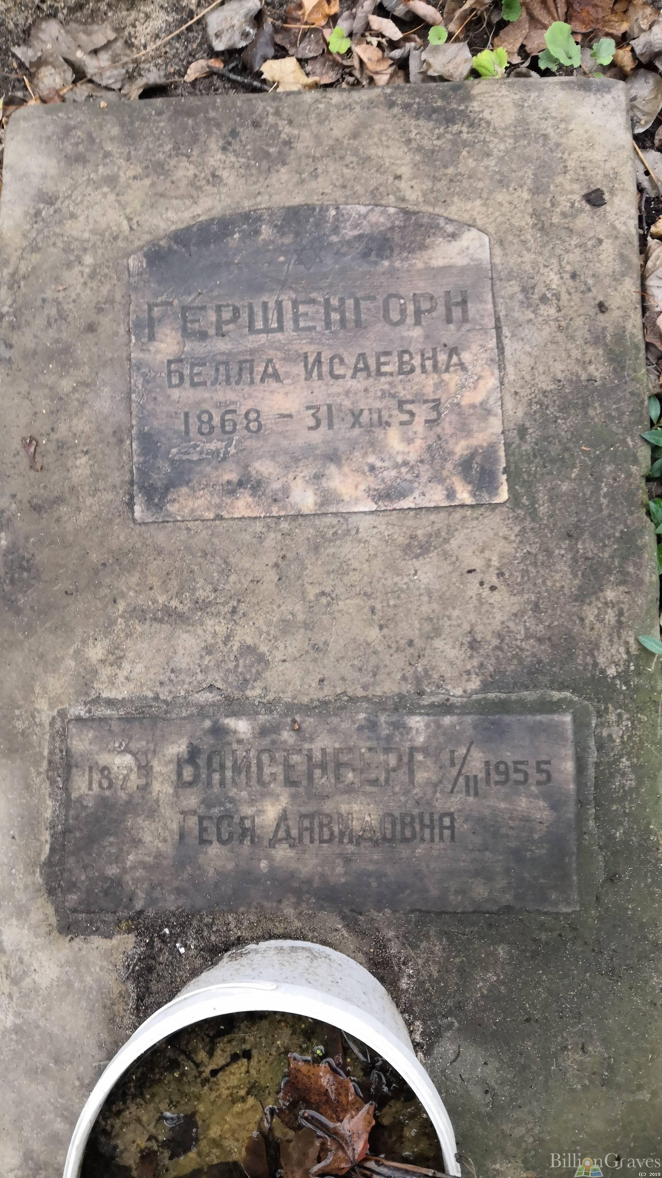 Вайсенберг Геся Давидовна