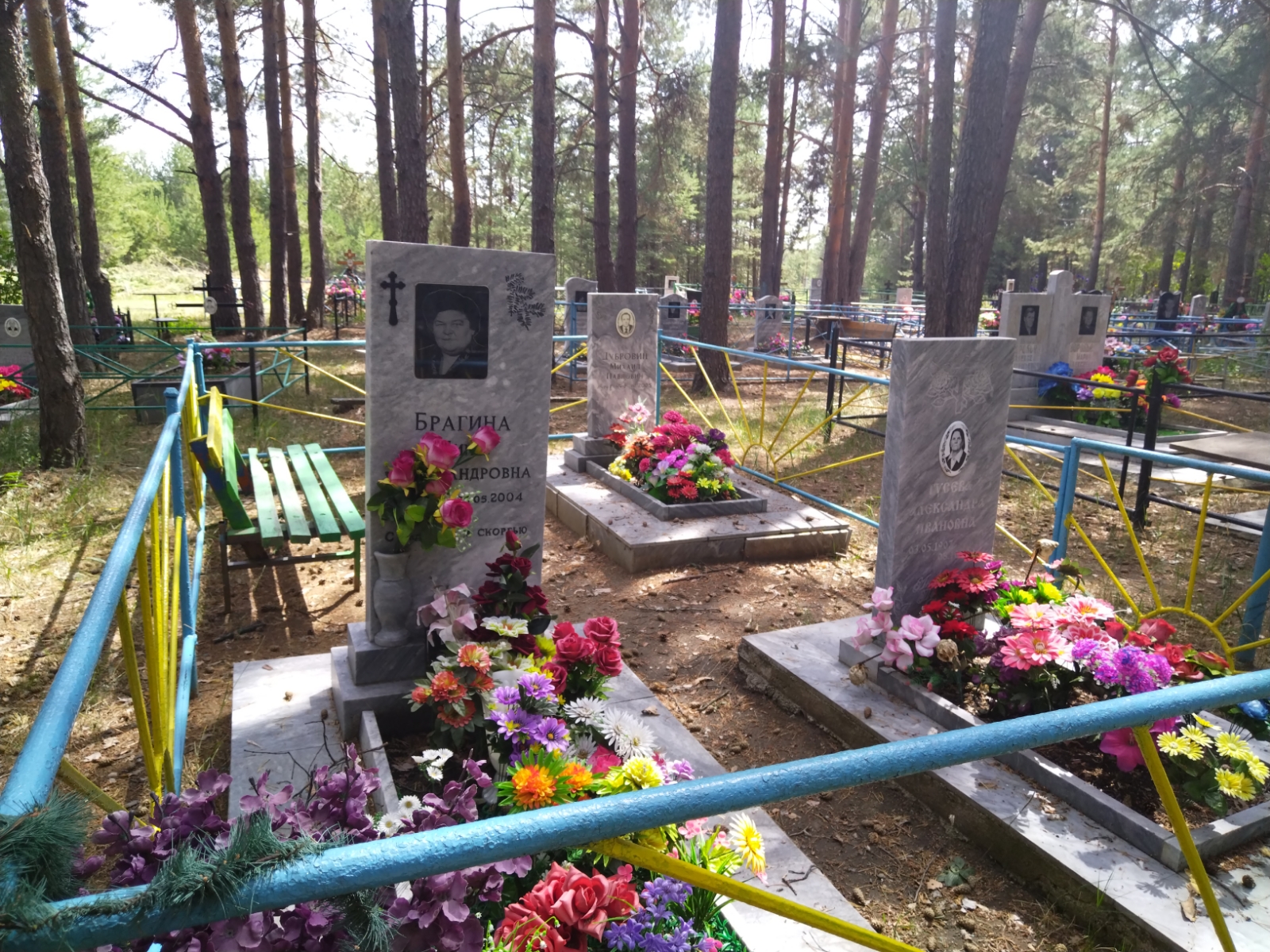 Брагина Нина Александровна