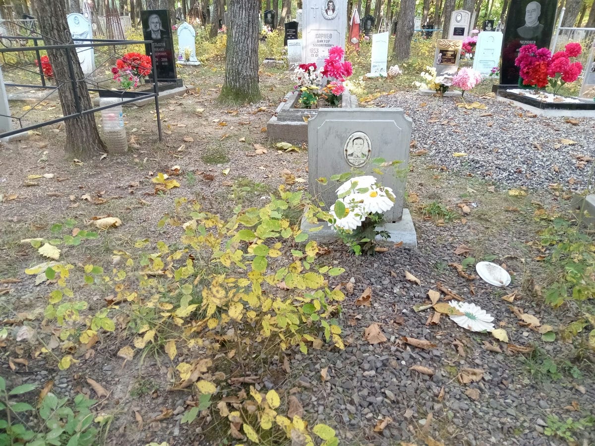 Губарь Василий Михайлович