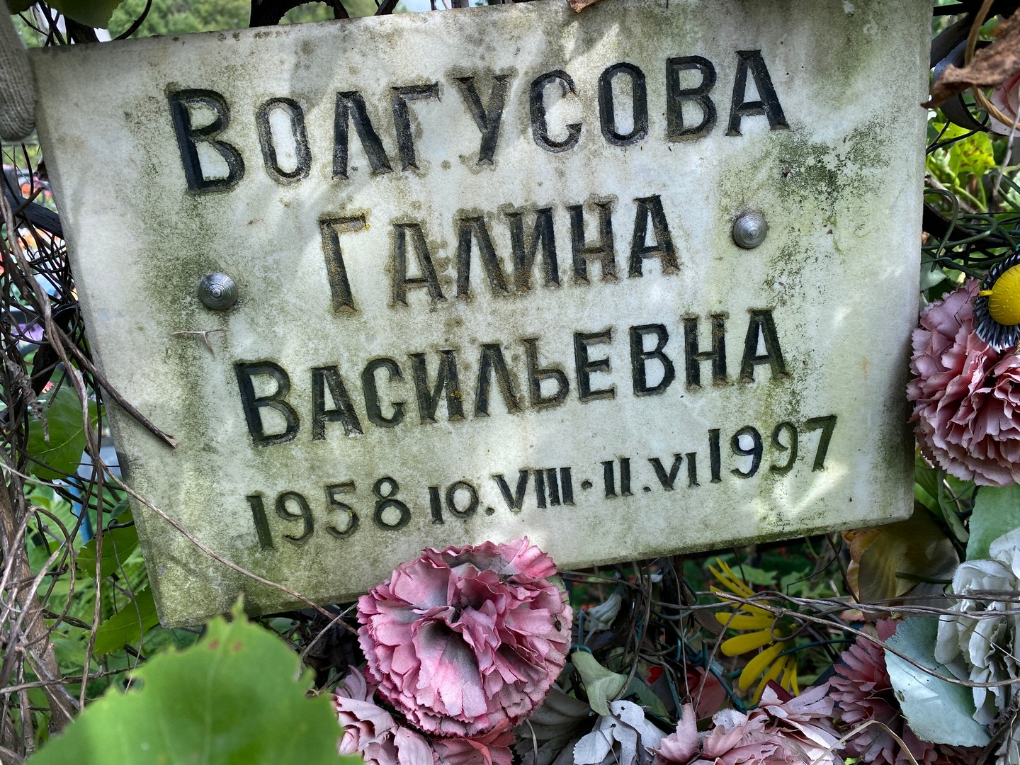 Волгусова