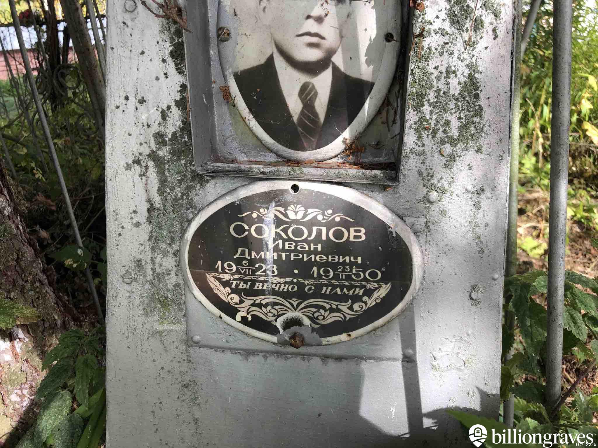 Соколов Иван Дмитриевич