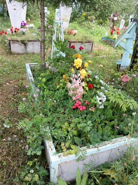 Первухина Анастасия