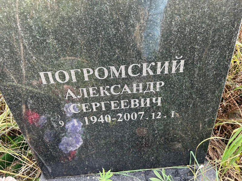 Погромский