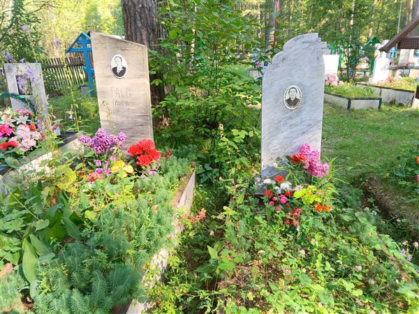 Гаев Гаврил Евтифьевич