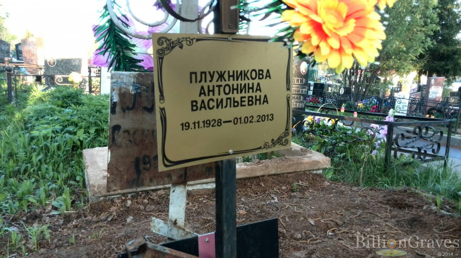 Плужникова Антонина Васильевна
