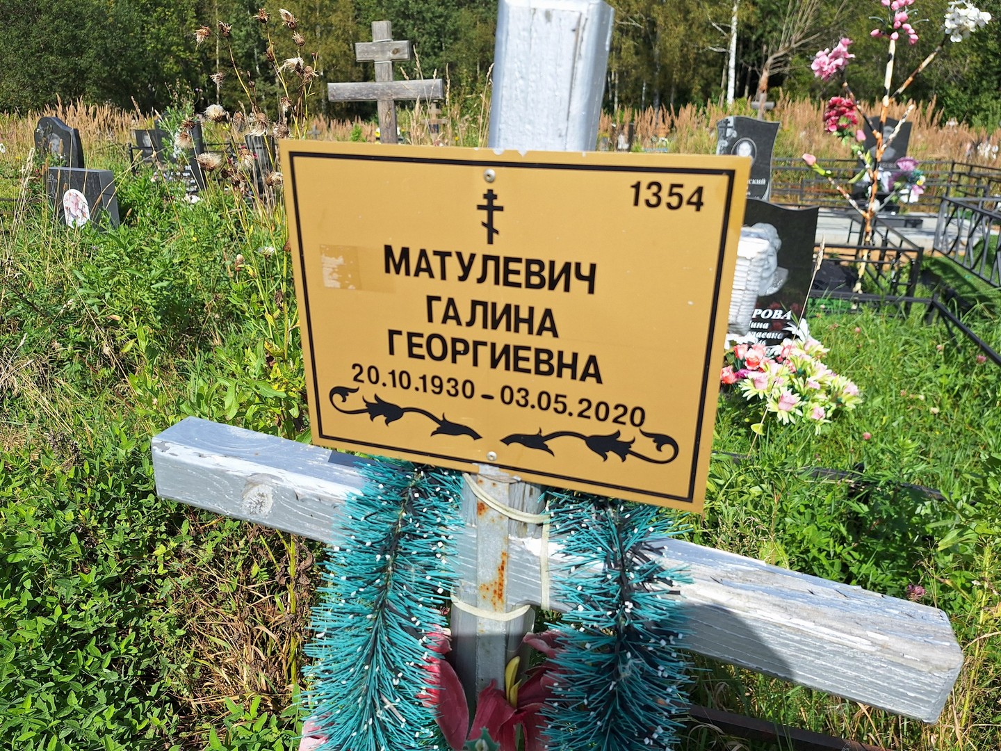 Матулевич