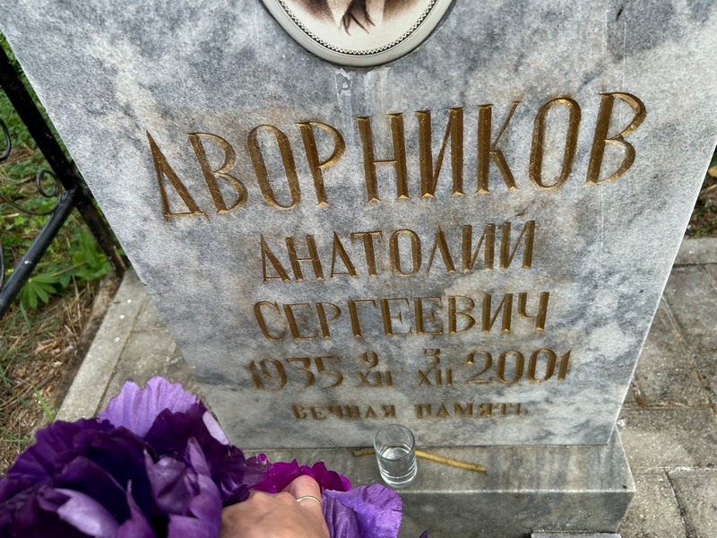 Дворников
