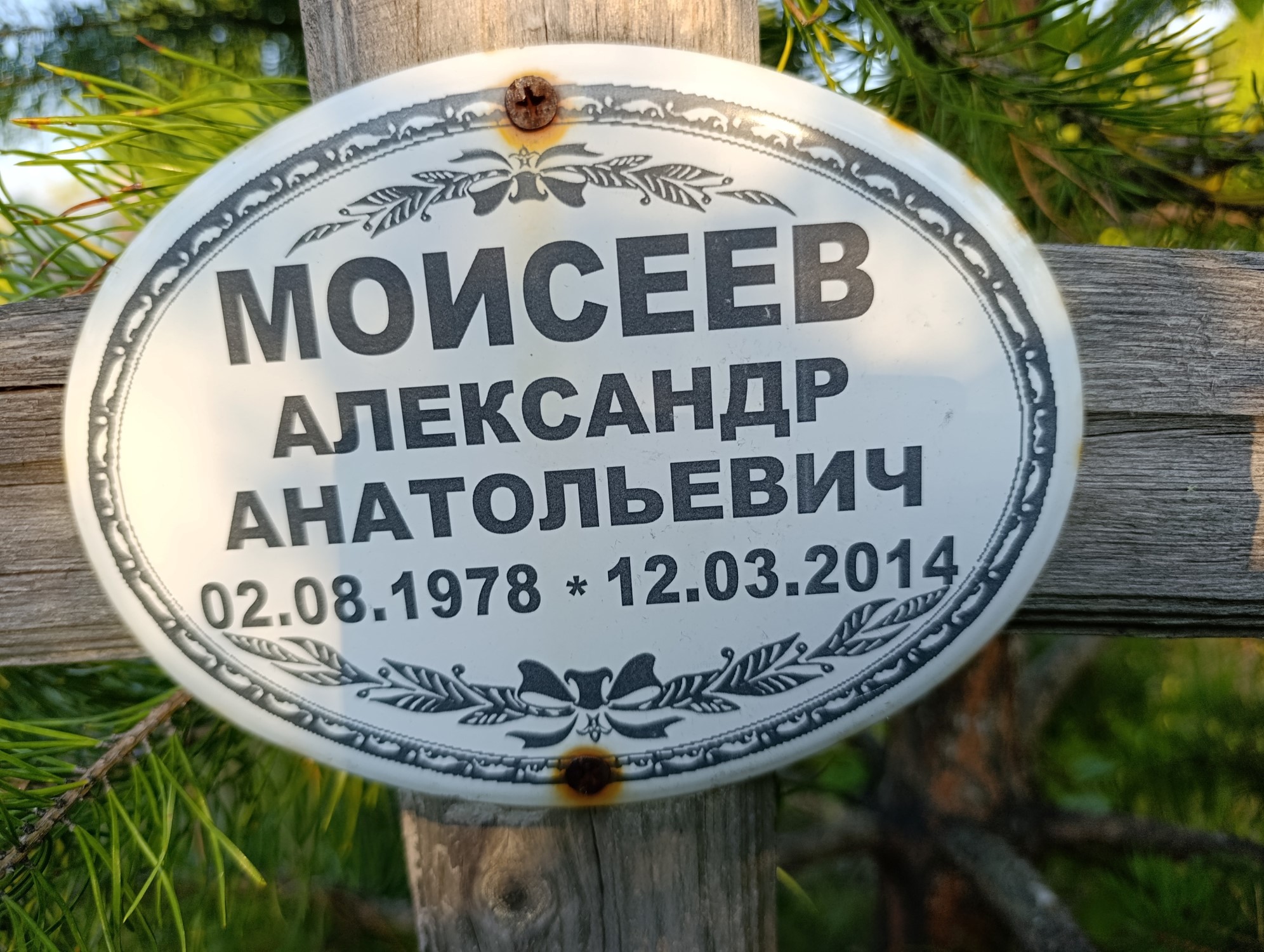 Моисеев Александр Анатольевич