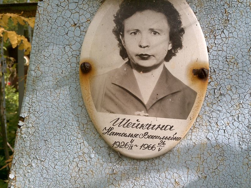 Шейкина