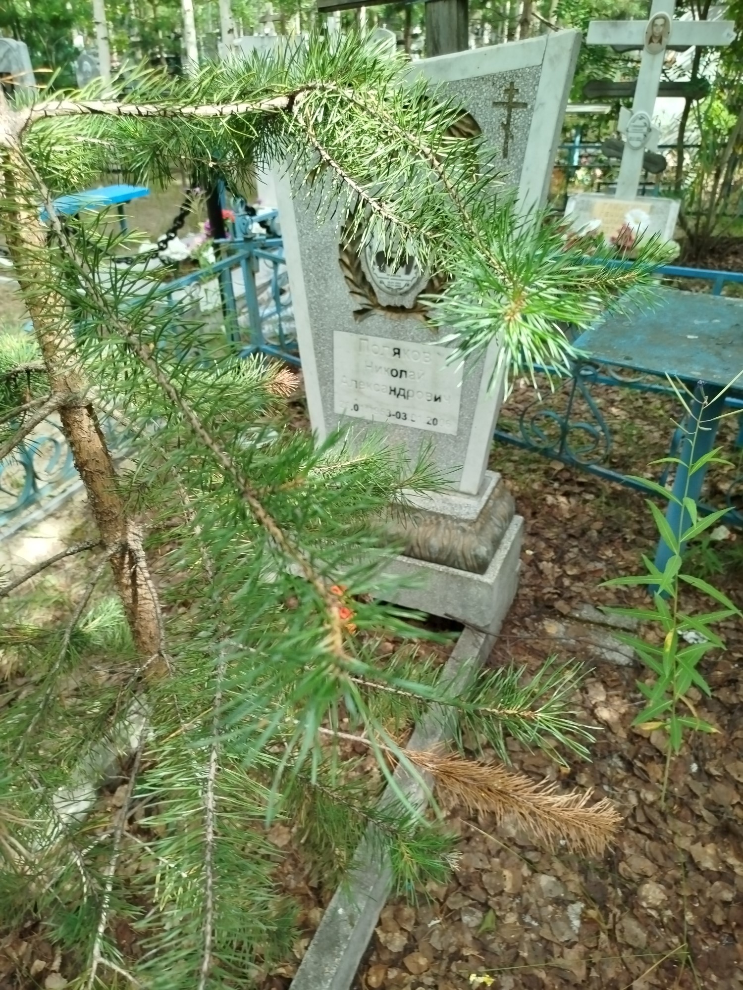 Поляков Николай Александрович
