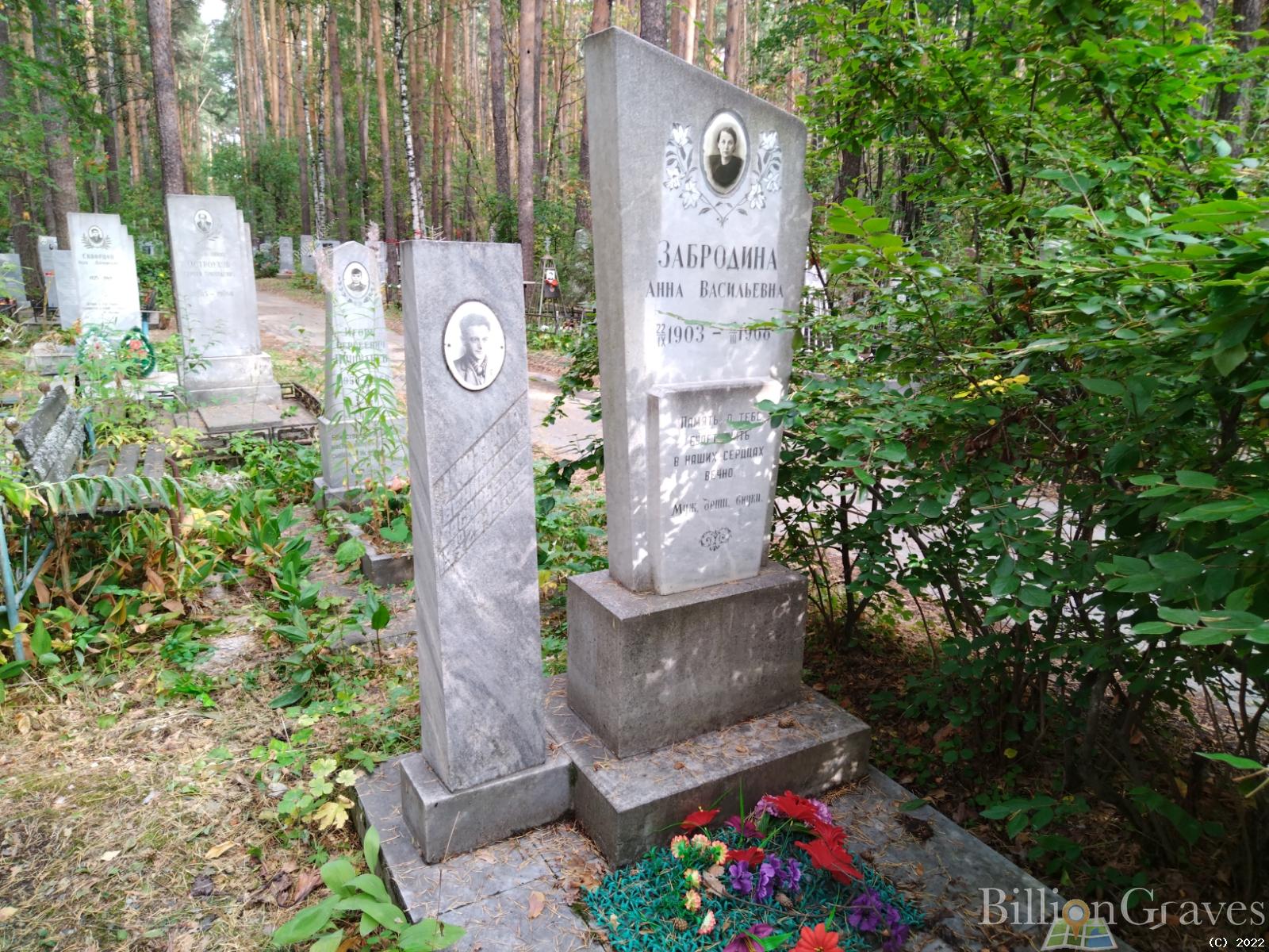 Забродина Анна Васильевна
