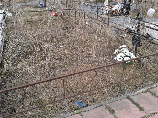 Зеленкова Евгения Викторовна