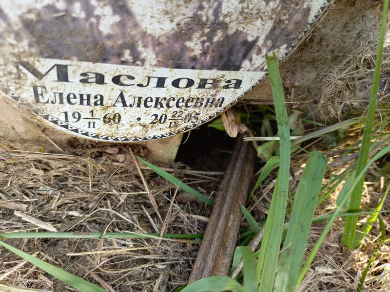 Маслова