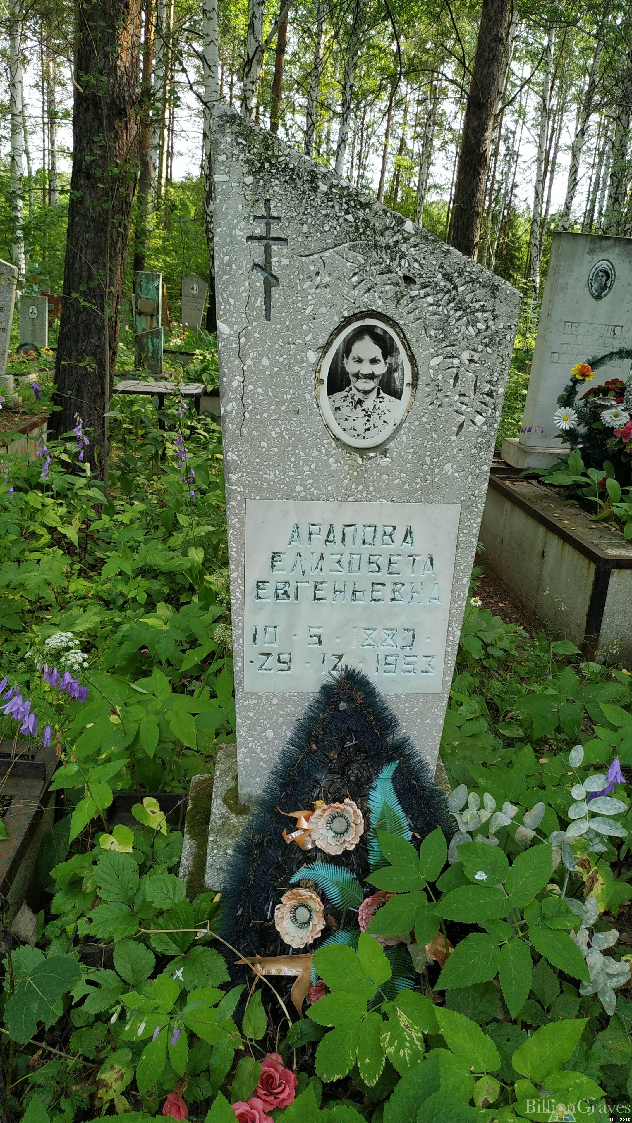 Арапова Елизавета Евгеньевна