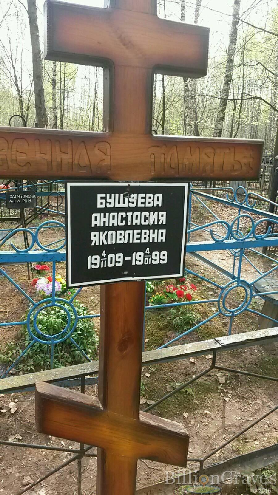 Бушуева Анастасия Яковлевна