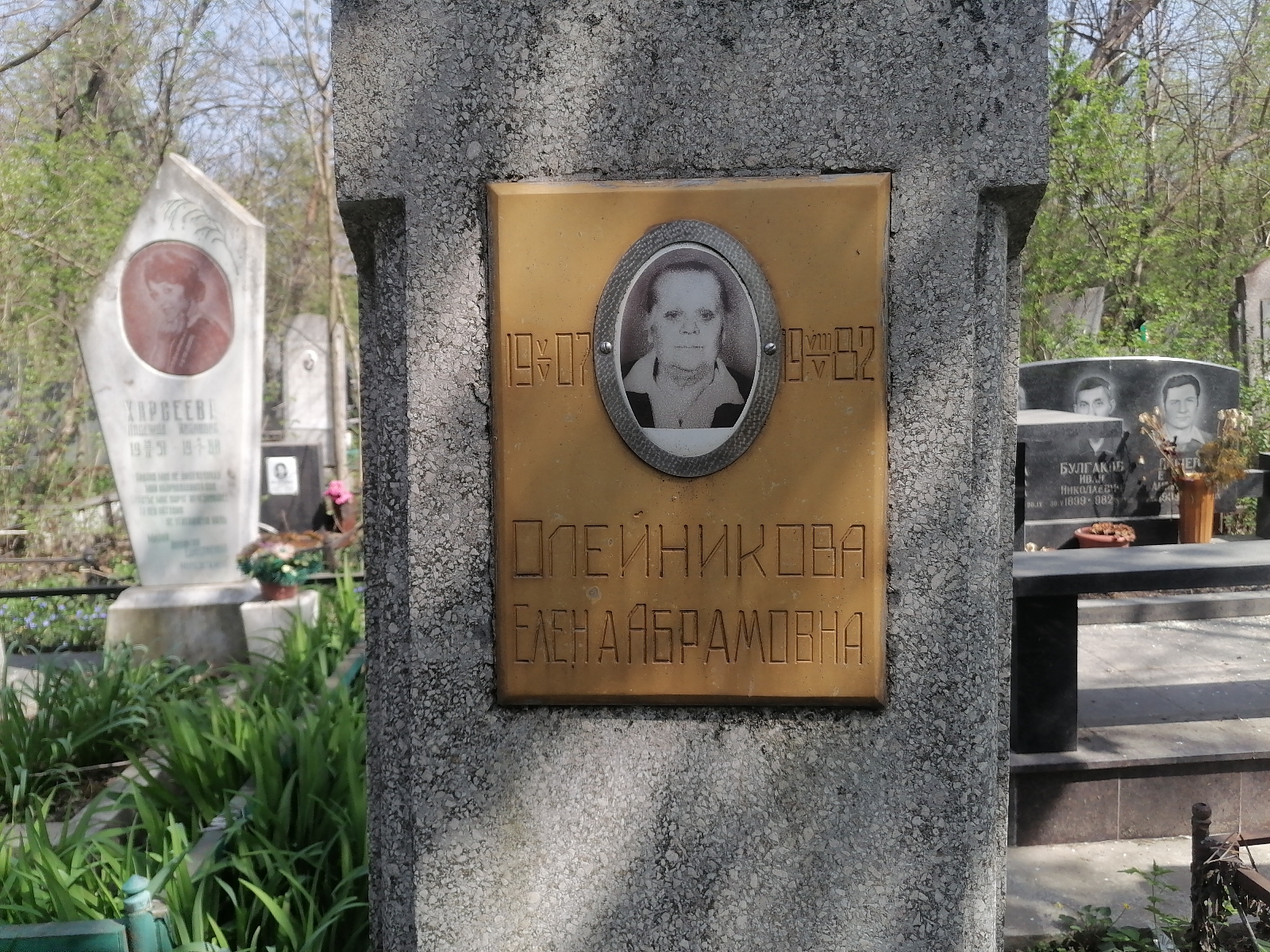 Олейникова Елена Абрамовна