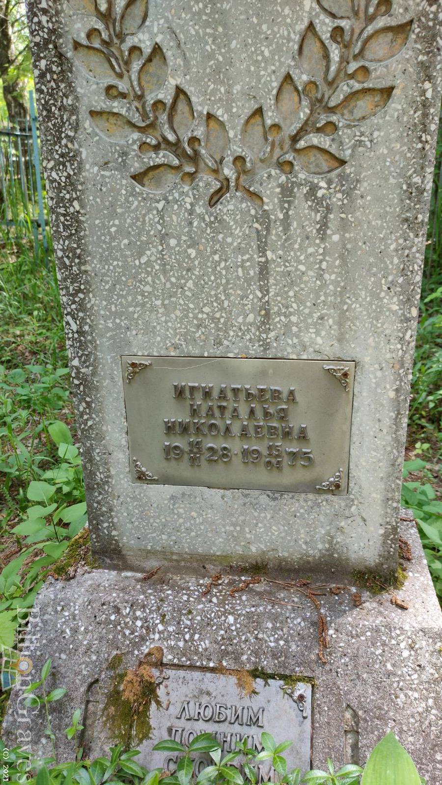 Игнатьева Наталья Николаевна