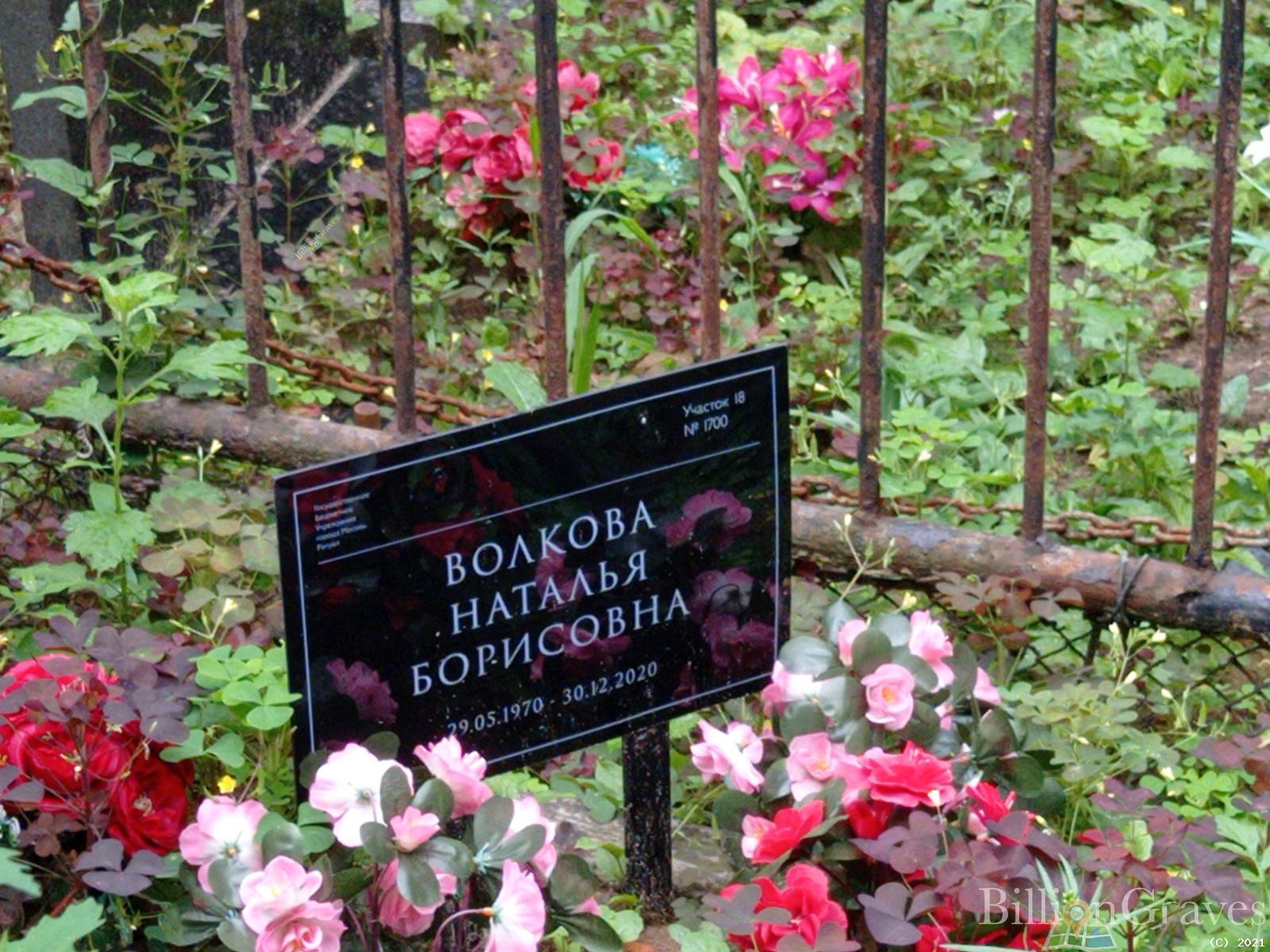 Волкова Наталья Борисовна