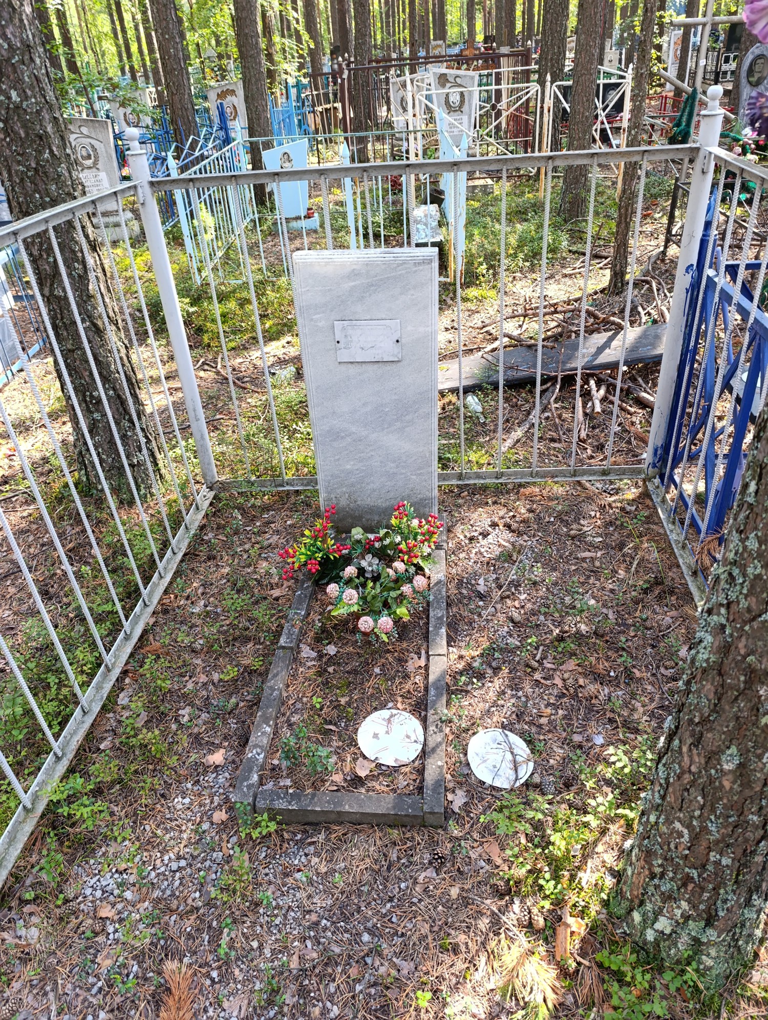 Лошкарева Александра Дмитриевна