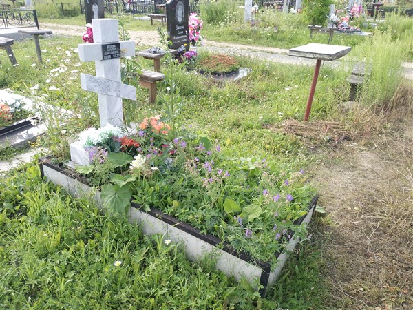 Мохова Татьяна Дмитриевна