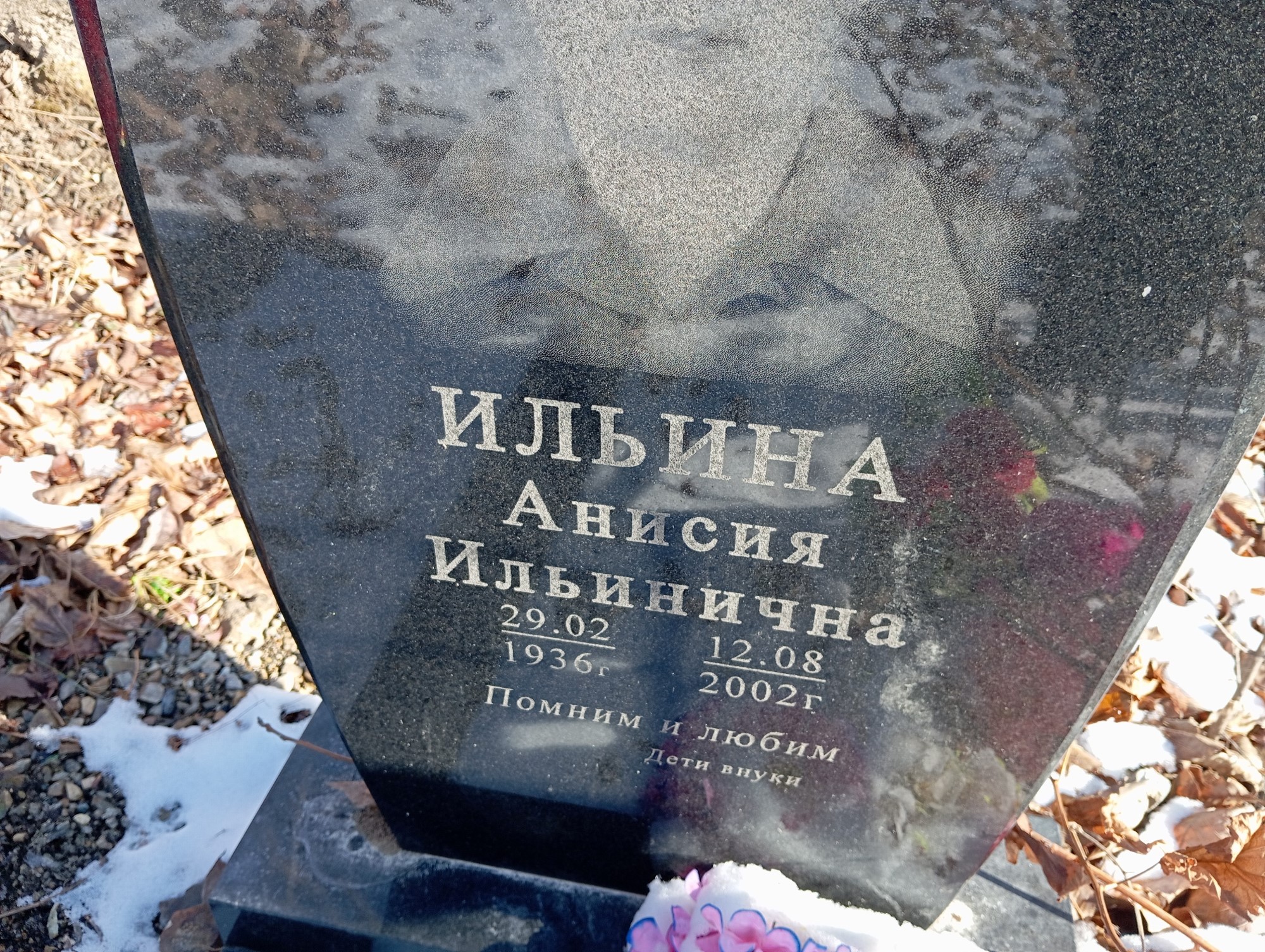 Ильина Анисия Ильинична