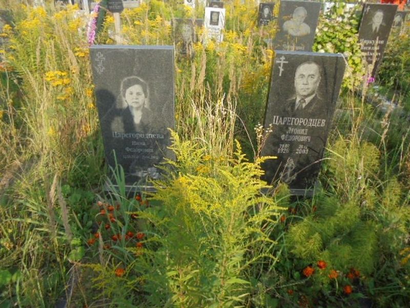 Царегородцев Леонид Федорович