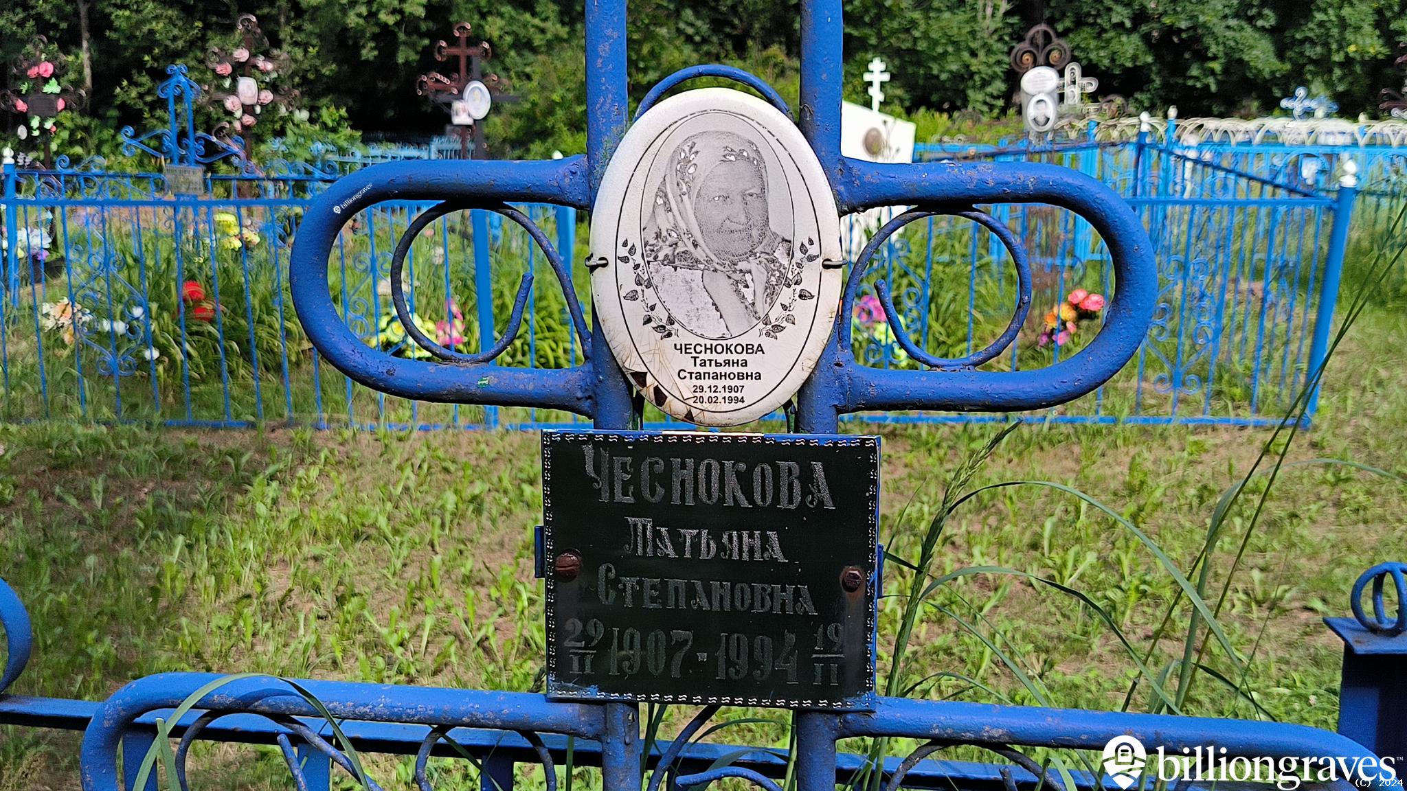 Чеснокова Татьяна Степановна
