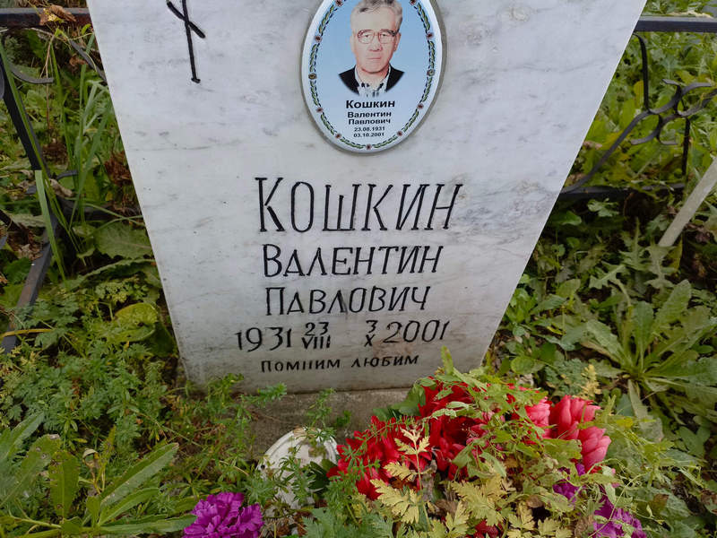 Кошкин