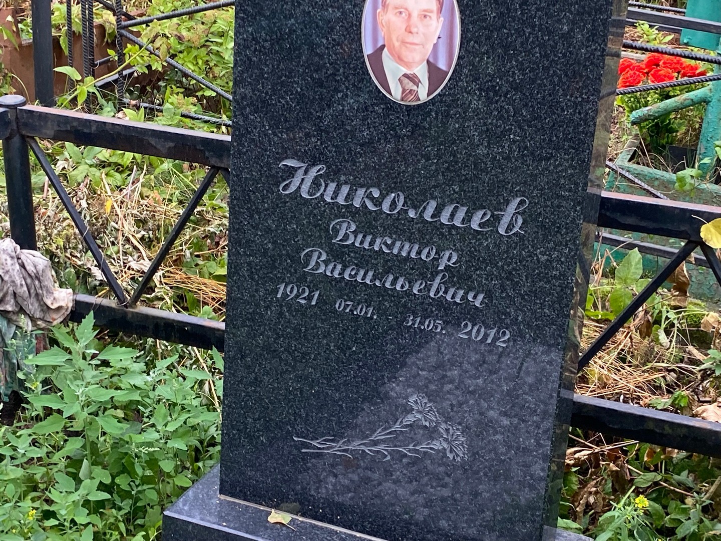 Николаев