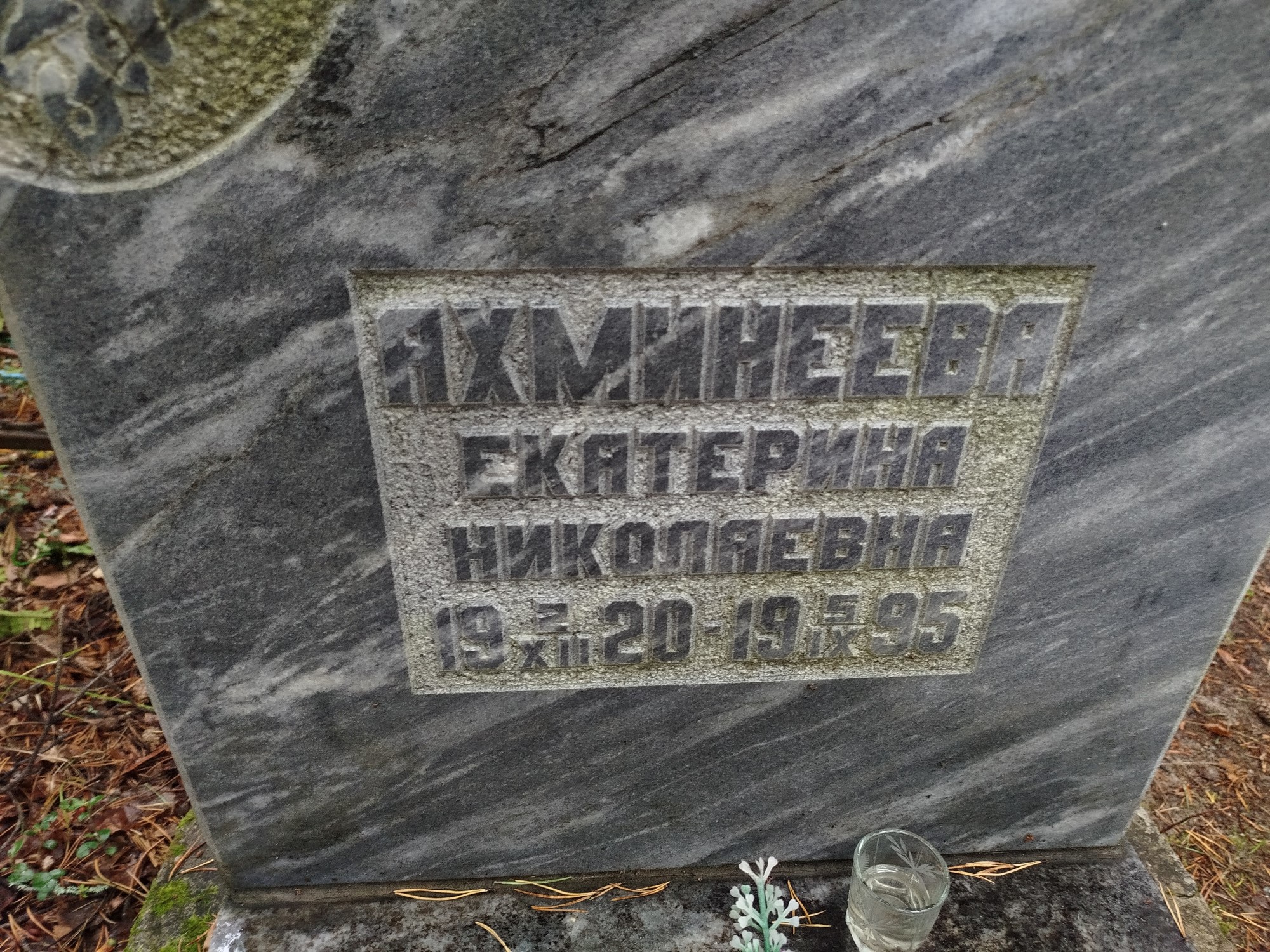 Ахминеева Екатерина Николаевна